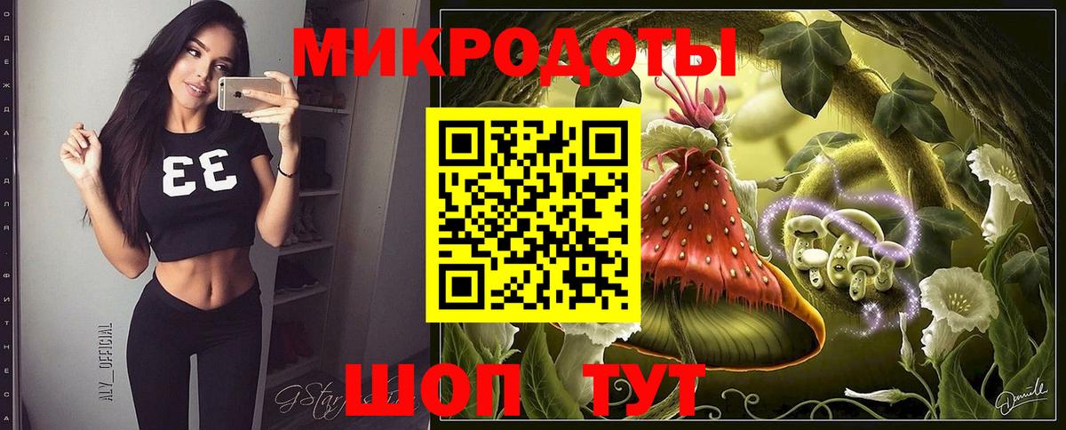 Галлюциногенные грибы Psilocybine cubensis Будённовск